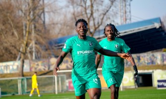 Trīs dzērves maisā